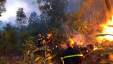 Cháy rừng Diễn Châu: Chưa thể khống chế, huy động hơn 1.000 người dập lửa