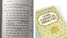 Tiếng Việt, chữ Việt và vấn đề chính tả