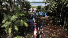 Covid-19 tàn phá cộng đồng Amazon