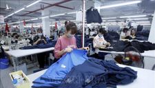 Truyền thông Nhật Bản: EVFTA giúp Việt Nam trở thành điểm đến đầu tư mới