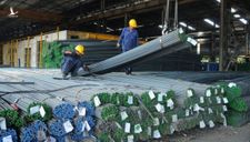 Sắt thép Việt xuất khẩu sang Trung Quốc tăng hơn 760%