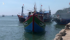 Yêu cầu Trung Quốc phối hợp giải quyết vụ chèn ép tàu cá Việt Nam ở Hoàng Sa