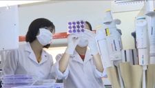 Vắc xin do Việt Nam nghiên cứu đáp ứng miễn dịch phòng Covid-19