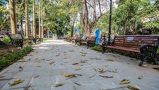 Cận cảnh vườn hoa công viên Tây Sơn hiện đại nhất quận trung tâm Hà Nội