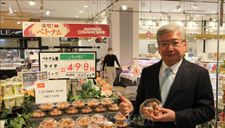 Nikkei Asian Review: Món quà quý người Nhật thèm khát nhập khẩu từ Việt Nam