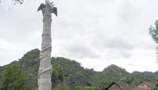 Thu hồi 50ha dự án dịch vụ du lịch từng lớn nhất ở Việt Nam vì ‘delay’ 15 năm