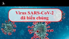 Biến chủng của virus Sars-Cov-2 ở Đà Nẵng có bất thường không?