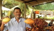 Ông lão Việt Kiều bán công ty về Việt Nam nuôi giấc mơ socola ‘Made in Vietnam’