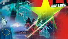 Việt Nam vượt qua nhiều nền kinh tế lớn với mức tăng trưởng 1,81%