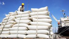 Bộ Công Thương nói về “bối cảnh khẩn cấp” liên quan xuất khẩu gạo