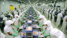 Nông sản Việt Nam cần cải cách “quy trình” sản xuất để vào thị trường lớn