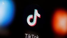 VNG khởi kiện TikTok đòi bồi thường 221 tỉ đồng