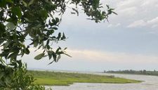 Biến tướng farmstay kiểu phân lô bán nền