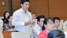 Vì sao doanh nhân làm đại biểu Quốc hội như ông Phạm Phú Quốc lại có 2 quốc tịch?