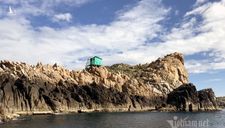 Độc nhất đất Việt: Hòn đảo rợp trời hải âu, chỉ đón 300 khách/ngày