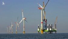Kiến nghị miễn tiền thuê mặt biển với các dự án điện gió