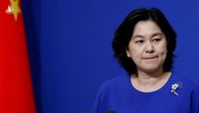 Bà Hoa Xuân Oánh được đề cử tuyên dương quốc gia vì ‘chống dịch xuất sắc’