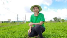 Cô gái xuất khẩu 20.000 sản phẩm bột rau ra thế giới