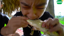Kinh hãi nhóm thanh niên ăn sống cá to bằng bắp chân