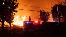 Nửa triệu người Mỹ phải sơ tán vì cháy rừng lan rộng