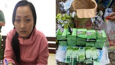 Công an bắt vụ vận chuyển 50kg ma túy từ biên giới về TP Hồ Chí Minh