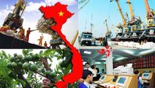 Đại dịch Covid-19: Tìm hướng đi mới cho nền kinh tế