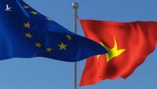 Việt Nam – Đất nước đi tiên phong trong thiết lập khu vực FTA với EAEU
