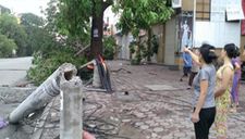 Vài lời với ông Giám đốc Công ty Điện lực Thừa Thiên – Huế!