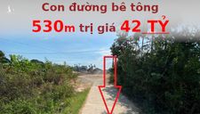 Tạm dừng dự án đường bê tông huyện 530m tốn đến 46 tỷ đồng ở Quảng Ngãi