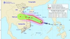Bão số 5 giật cấp 13, hướng vào Quảng Bình – Quảng Ngãi