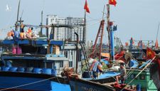 Đà Nẵng cấm ra đường từ 20h hôm nay, toàn bộ lao động nghỉ làm ngày 28-10