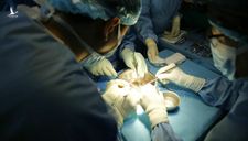 Lần đầu tiên bác sĩ Việt Nam ghép ruột thành công
