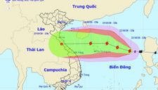 Bão số 8 vào đất liền, khả năng sẽ xuất hiện ngay bão số 9