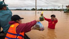 Xin hãy thiện nguyện một cách “chuyên nghiệp”!