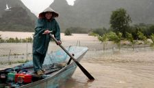 ‘Thay vì tặng 1 bông hoa, hãy chuyển thành quà cho bà con vùng lũ’