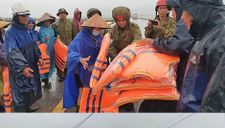 Nghĩa tình đồng bào