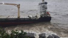 Con tàu nước ngoài bí ẩn dạt vào bờ biển TT-Huế