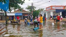 Nhà không ngập nhưng vẫn ra đường xin quà cứu trợ ở Hà Tĩnh