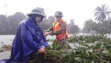 Nghệ An đến Quảng Bình còn hứng chịu mưa lớn