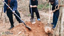 Hà Anh Tuấn khởi trồng 2 cánh rừng đầu tiên trong dự án ‘Rừng Việt Nam’