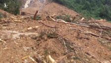 Sạt lở “san phẳng” một trạm bảo vệ rừng tại Quảng Bình