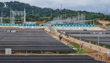Dự án điện mặt trời lớn nhất Đông Nam Á tại Ninh Thuận đi vào hoạt động