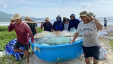 Nắng to trước khi bão số 9 đổ bộ, ngư dân nhớ lại cơn bão kinh hoàng trong quá khứ