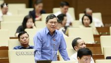 ĐBQH đề nghị bổ sung chế tài xử lý hành vi xúc phạm Đảng kỳ