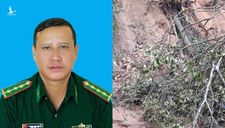 Nước mắt rơi trên điểm chốt