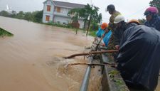 Phú Yên: đi xem nước lũ, 1 người bị cuốn mất tích