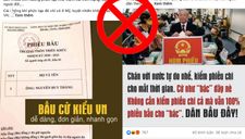 Đừng mượn chuyện bầu cử ở Mỹ để lái sang chống phá bầu cử ở Việt Nam