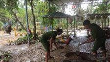Công an, quân đội giúp người dân Phú Yên khắc phục sau bão số 12