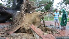 Bão số 13 gây thiệt hại nặng tại Thừa Thiên – Huế