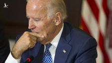 New York Times: Phát hiện lỗi nghiêm trọng, ông Joe Biden bất ngờ giành được 100% phiếu mới kiểm đếm tại Michigan